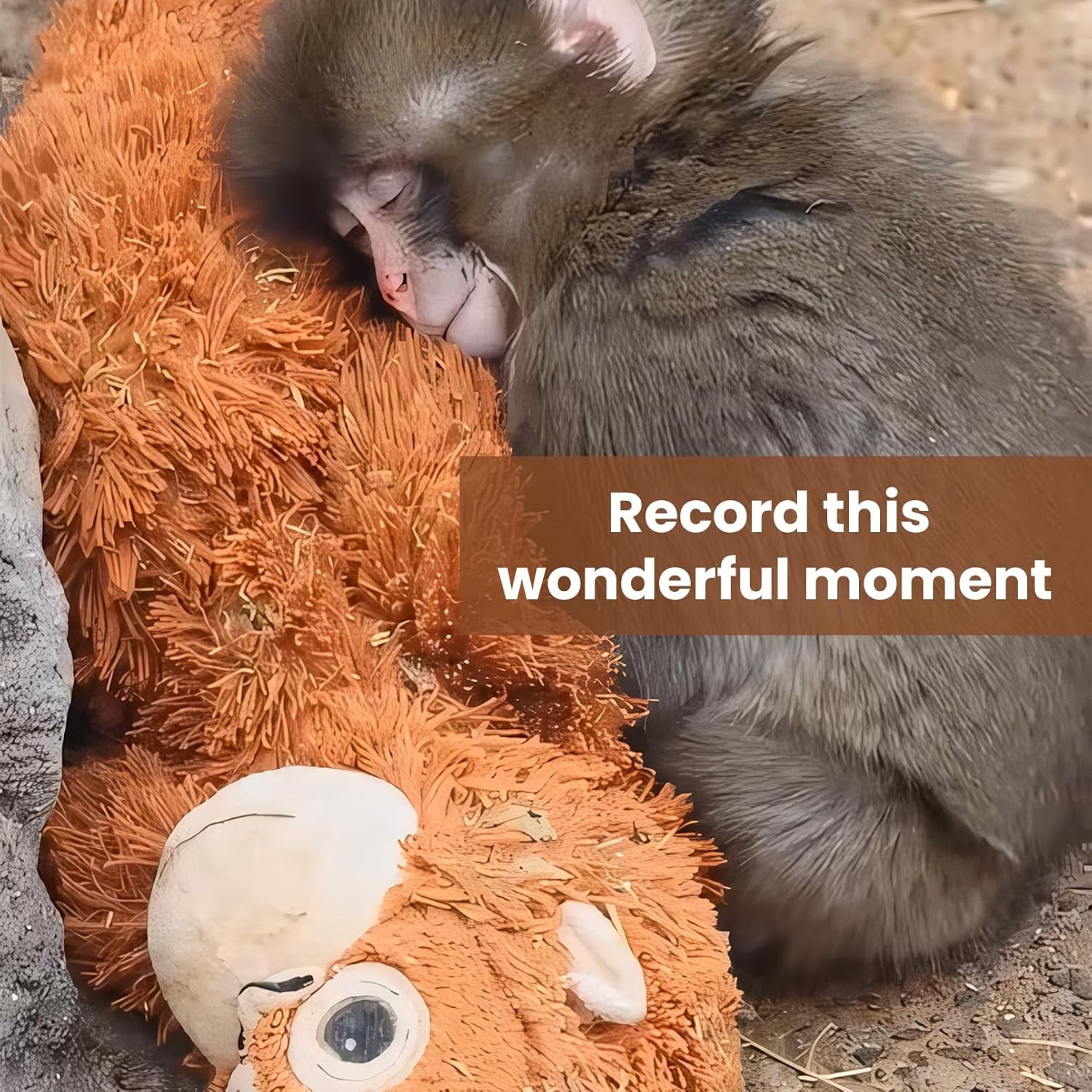 Panchi-Kun 26 Inch Plush Monkey – Your Ultimate Soft and Huggable Emotional Support Buddy!
